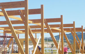 https://hilamdsr.azurewebsites.net/chile/wp-content/uploads/sites/14/1970/01/01-40318-Stand-Nueva-Aldea-300x190.jpg
