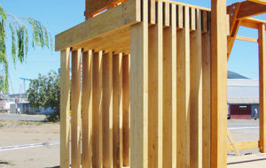 https://hilamdsr.azurewebsites.net/chile/wp-content/uploads/sites/14/1970/01/02-96427-Stand-Nueva-Aldea-300x190.jpg