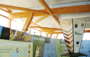 https://hilamdsr.azurewebsites.net/chile/wp-content/uploads/sites/14/1970/01/06-53945-Stand-Nueva-Aldea-300x189.jpg