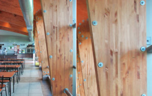 https://hilamdsr.azurewebsites.net/chile/wp-content/uploads/sites/14/1970/01/10-50507-Comedor-Planta-Celulosa-Valdivia-300x190.jpg